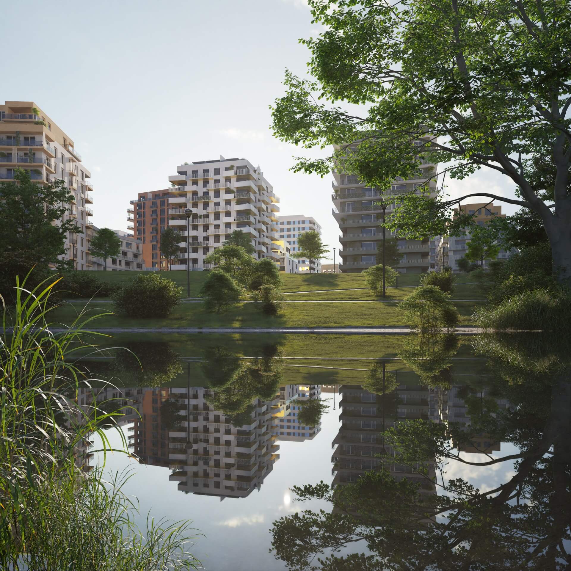 Přínosy projektu Nový Rohan